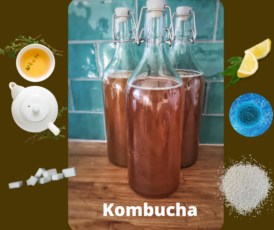 The Quick and Dirty on Kombucha Tea